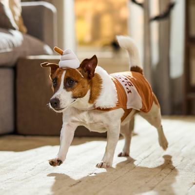 Show full view: Frisco Pup-kin Spice Latte Cape Costume Accessory, X-Small/Small slide 6 of 8