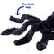 Show in main carousel: Frisco Spider Dog & Cat Costume Accessory, Medium/Large slide 5 of 8