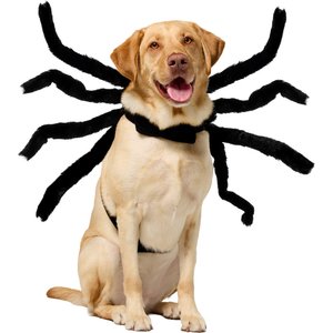 Frisco Spider Dog & Cat Costume Accessory, X-Large/XX-Large