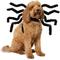 Show in main carousel: Frisco Spider Dog & Cat Costume Accessory, Medium/Large slide 1 of 8