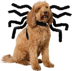 Frisco Spider Dog & Cat Costume Accessory, Medium/Large