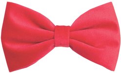 Fetchin' Co. Velvet Bow Tie Accessory Dog Collar, Red, Medium/Large