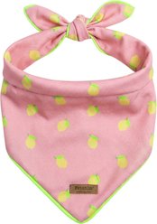 Fetchin' Co. Pink Lemonade Printed Canvas Accessory Dog Bandana, Multicolor, Small/Medium