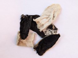 QT Dog Goat Ears with Hair Natural Dog Chew Treats, 10 count slide 2 of 2