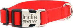 Mimi Green Personalized Engraved Buckle Lightweight Biothane Waterproof Dog Collar, Red, X-Large: 22-26-in neck, 1-in wide
