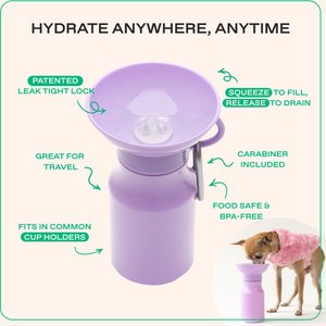Springland Travel Dog & Cat Water Bottle, Lilac, 15-oz
