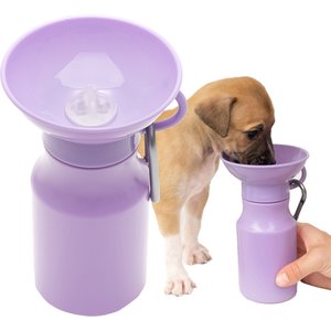 SPRINGLAND Travel Dog Bottle, 22-oz, Poppy - Chewy.com