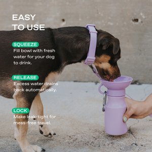 Springland Travel Dog & Cat Water Bottle, Lilac, 15-oz