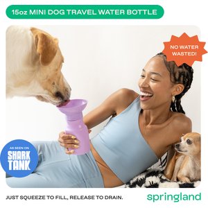 Springland Travel Dog & Cat Water Bottle, Lilac, 15-oz
