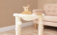 Cat Trees