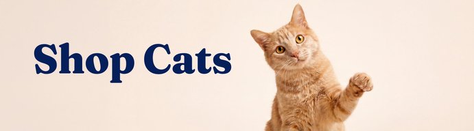Shop Cats