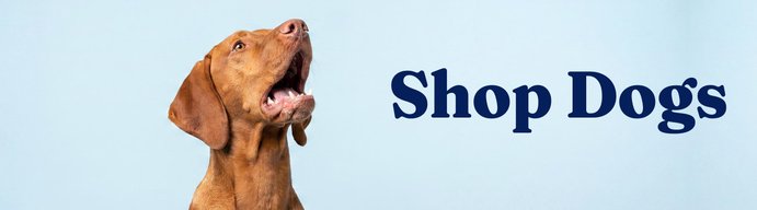 Shop Dogs