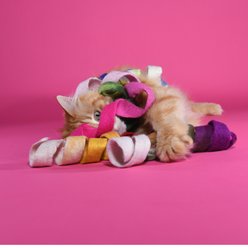 Mimis Daughters Spinny Spiral Exercise Teaser Cat Toy, Pink, 9.8-in slide 2 of 8