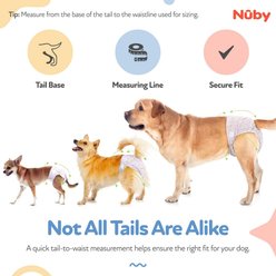 Nuby Disposable Wetness Indicator Leak-Resistant Female Dog Diapers, 50 count, Large: 18 to 27-in slide 2 of 8