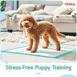 Nuby Ultra-Absorbent Unscented Training Dog Pee Pads, 26 x 30-in, 50 count slide 2 of 5