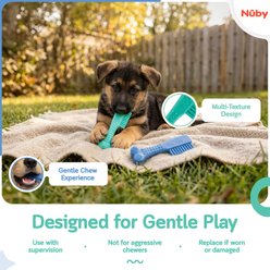 Nuby Toothbrush Mint Scent Durable Dental Teething Dog Chew Toy, 2 count, Assorted slide 2 of 5