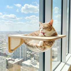 Happy & Polly Window View Cat Lounge Bed, Natural Wood