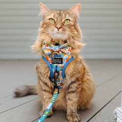 Sassy Woof Portofino Step-In Standard Cat Leash, 6-ft long, 0.6-in width slide 2 of 5