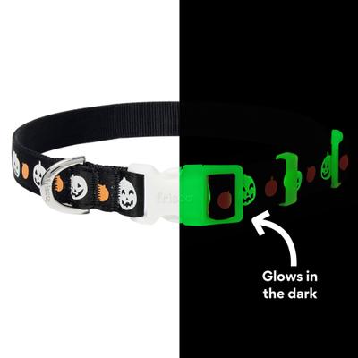 Show full view: Frisco Glow in the Dark Pumpkin Dog Collar, L/XL: 18 to 26-in neck, 1-in wide slide 4 of 10
