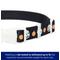 Show in main carousel: Frisco Glow in the Dark Pumpkin Dog Collar, L/XL: 18 to 26-in neck, 1-in wide slide 2 of 10
