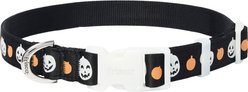 Frisco Glow in the Dark Pumpkin Dog Collar, L/XL: 18 to 26-in neck, 1-in wide