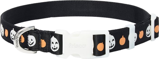 Frisco Glow in the Dark Pumpkin Dog Collar, L/XL: 18 to 26-in neck, 1-in wide
