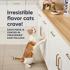 Instinct Original Real Chicken Recipe Grain-Free Dry Cat Food, 11-lb bag
