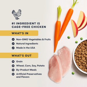 Instinct Original Real Chicken Recipe Grain-Free Dry Cat Food, 11-lb bag