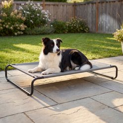 Veehoo Indoor & Outdoor Raised Hammock Cooling Elevated Dog Bed, Gray, Large: 41.0 x 26.0 x 7.9-in slide 2 of 6