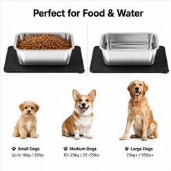 ADENGL Stainless Steel Dog Water Bowl with Spill-Proof Silicone Mat, Silver, Large: 2-gal slide 2 of 7
