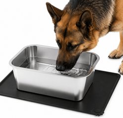 ADENGL Stainless Steel Dog Water Bowl with Spill-Proof Silicone Mat, Silver, X-Large: 2.8-gal