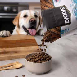 Evolve Simply Adult Limited Ingredient Diet Salmon Recipe Dry Dog Food, 14-lb bag slide 2 of 9