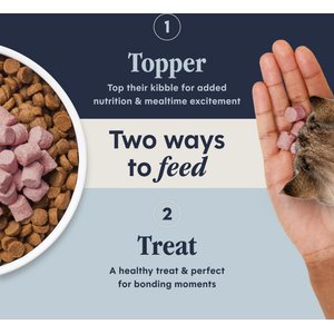 Instinct RawBoost Mixers Grain-Free Skin & Coat Health Recipe Freeze-Dried Cat Food Topper, 5.5-oz bag