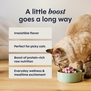 Instinct RawBoost Mixers Grain-Free Skin & Coat Health Recipe Freeze-Dried Cat Food Topper, 5.5-oz bag