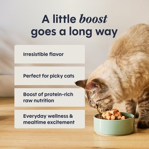 Instinct RawBoost Mixers Grain-Free Digestive Health Recipe Freeze-Dried Cat Food Topper, 5.5-oz bag