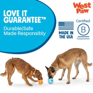 West Paw Zogoflex Toppl Tough Treat Dispensing Dog Chew Toy, Aqua Blue, Large