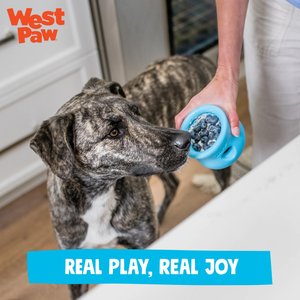 West Paw Zogoflex Toppl Tough Treat Dispensing Dog Chew Toy, Aqua Blue, Large