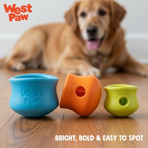 West Paw Zogoflex Toppl Tough Treat Dispensing Dog Chew Toy, Aqua Blue, Large