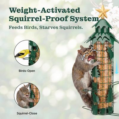 Show full view: Kingsyard Squirrel-Proof Outdoor Wild Bird Feeder, Green slide 3 of 10