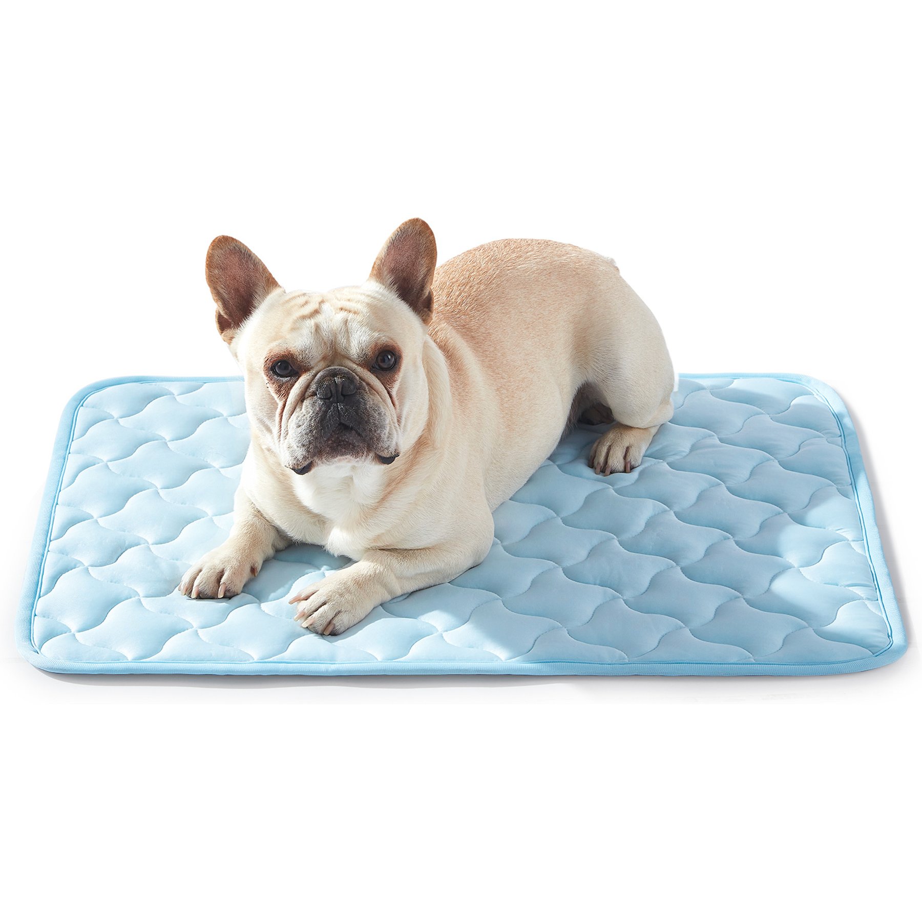 JOEJOY Non-Slip Breathable Cooling Machine Washable Bolster Dog & Cat Crate Mat, Blue, Medium