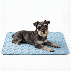 JOEJOY Non-Slip Breathable Cooling Machine Washable Bolster Dog & Cat Crate Mat, Light Blue, Large
