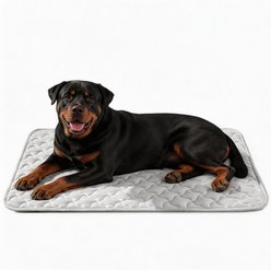 JOEJOY Non-Slip Breathable Cooling Machine Washable Bolster Dog & Cat Crate Mat, Light Grey, X-Large