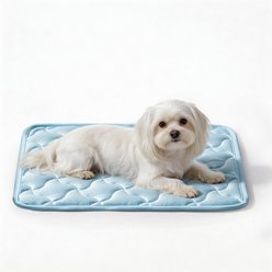JOEJOY Non-Slip Breathable Cooling Machine Washable Bolster Dog & Cat Crate Mat, Light Blue, Small