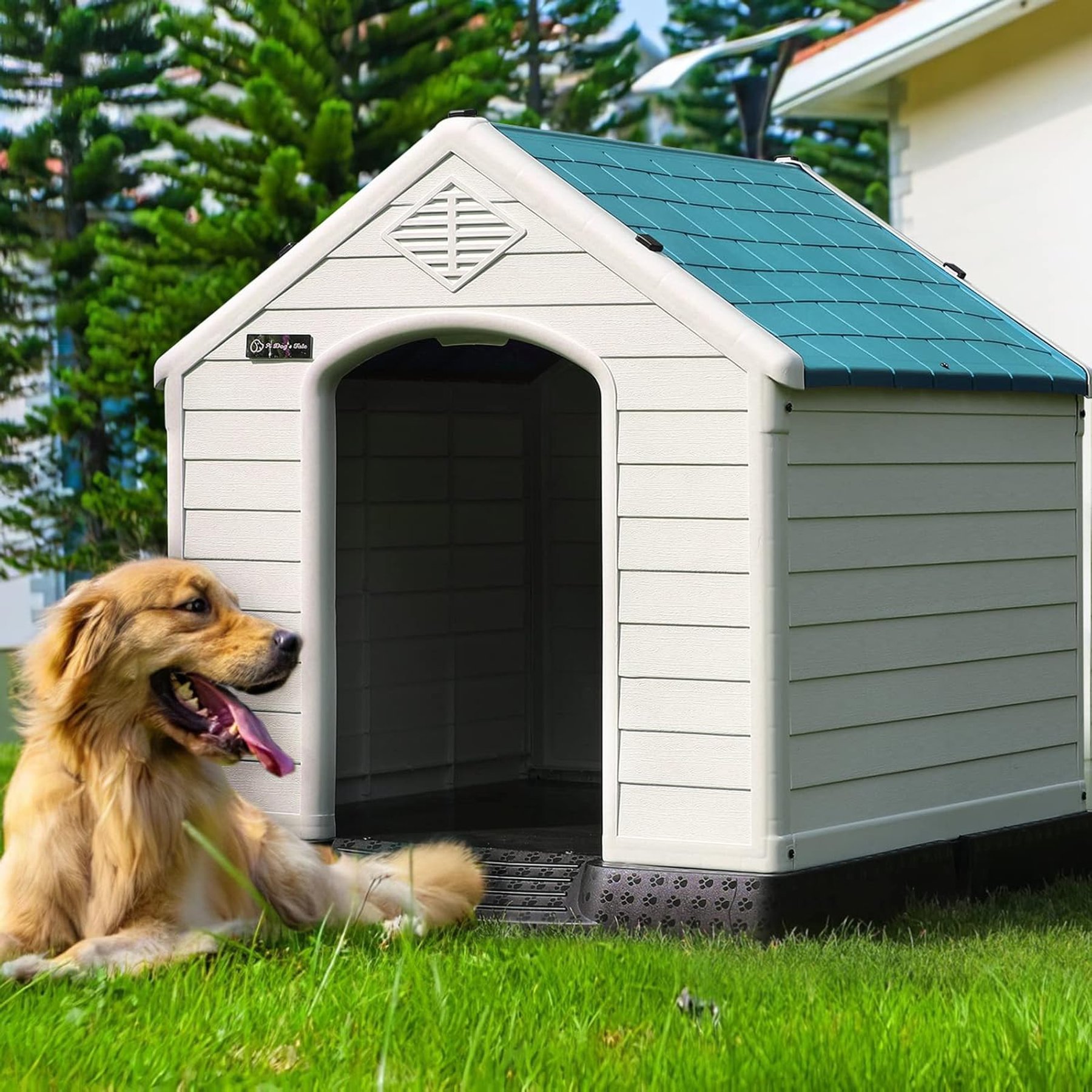 LEMBERI Plastic Durable Waterproof Dog House Waterproof with Elevated Floor & Air Vents, Blue, 34 x 31 x 32-in