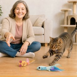 Catstages Fish & Mouse Flosser Dental Cat Toys, 2 count slide 2 of 7