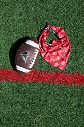Pronto Petwear NCAA Ohio State Cooling Dog Bandana, Red, Large slide 2 of 3