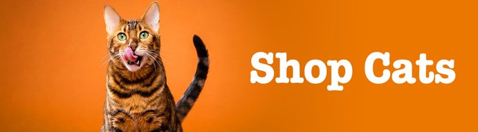 Shop Cats