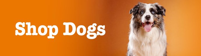 Shop Dogs