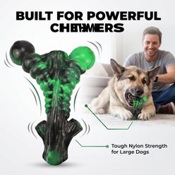 Kseroo Mixed Y-Bone Bacon Flavored Nylon Dental Care Dog Chew Toy, Green slide 2 of 8