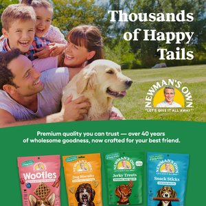 Newman's Own Beef Jerky Original Recipe Dog Treats, 14-oz bag